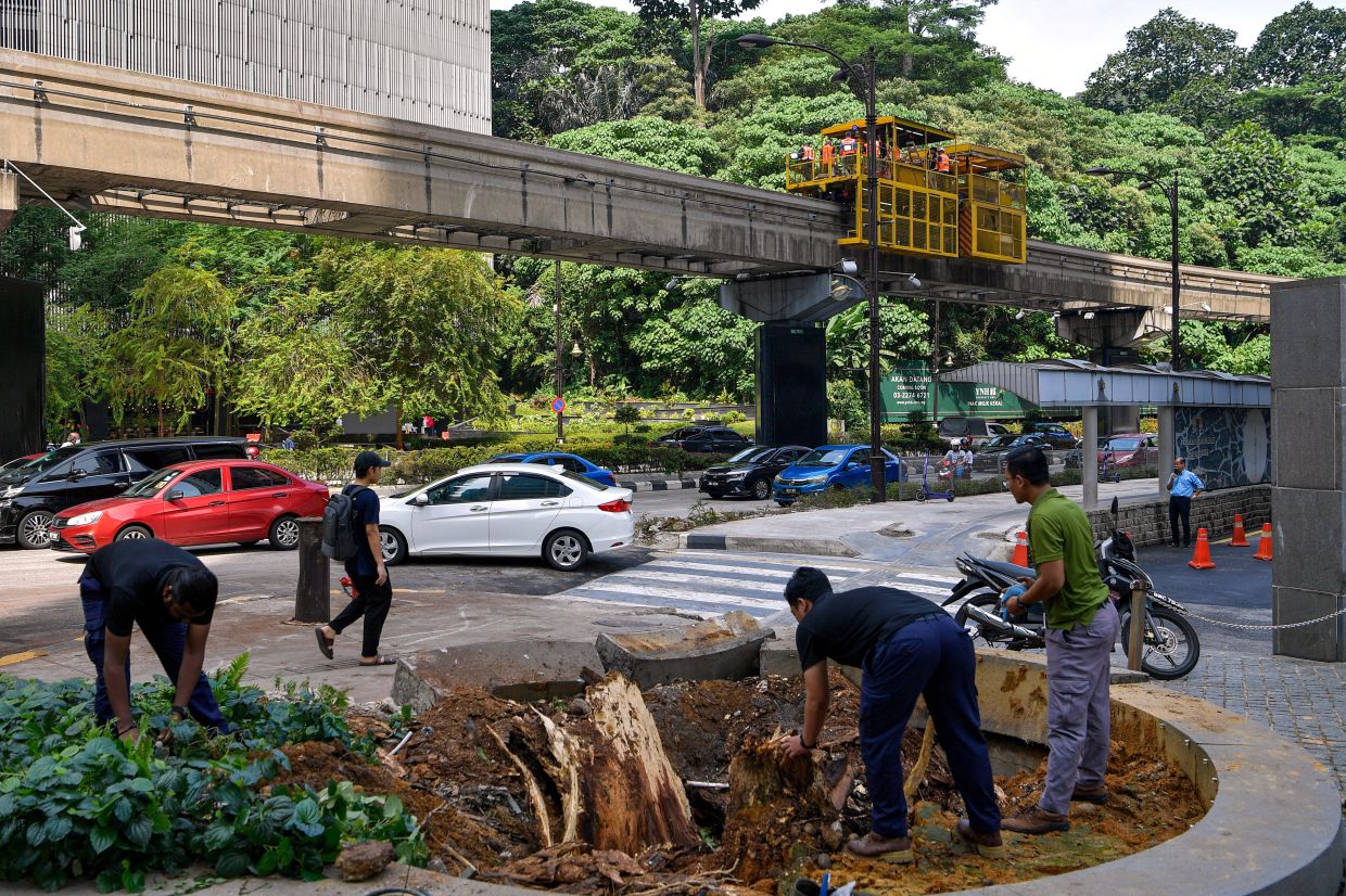 always inspect slopes and trees, authorities urged