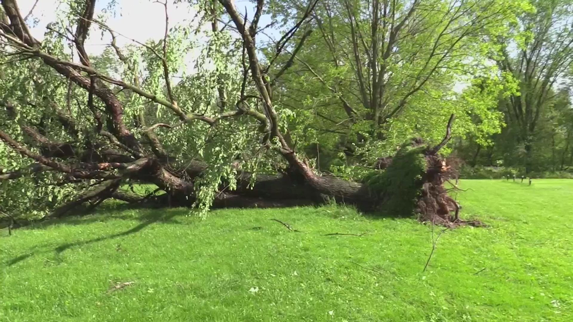 Showers, Storms Sweep Across Chicagoland On Tuesday, Causing Flooding ...