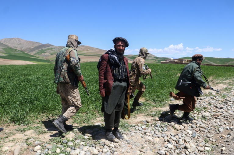 la violenta erradicación del opio en afganistán