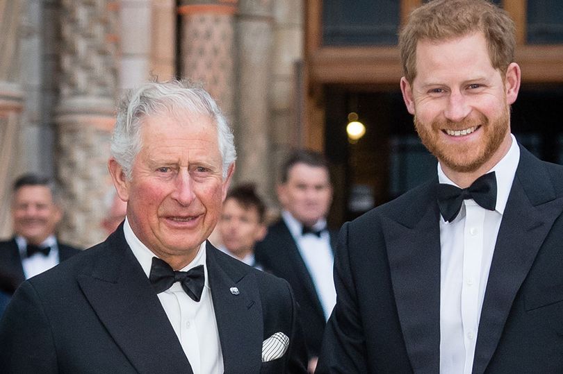 prince harry and charles 'still have gulf between them' as king 'snubs' son on uk visit