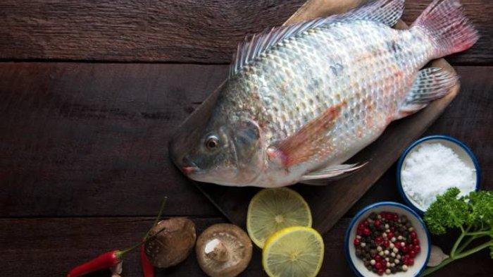 7 manfaat ikan mujair untuk kesehatan tubuh,benarkah bisa turunkan tekanan darah tinggi?