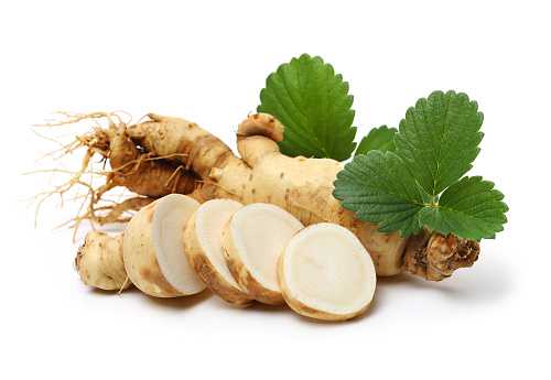 microsoft, professional faqs: what is the benefits of drinking ginseng?
