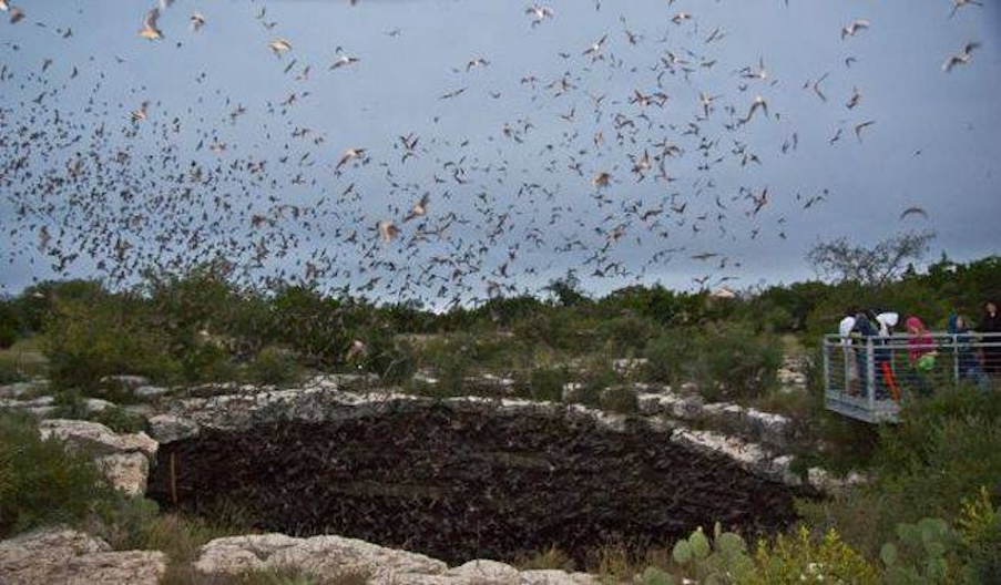 Unlocking the Mysteries of Devil's Sinkhole