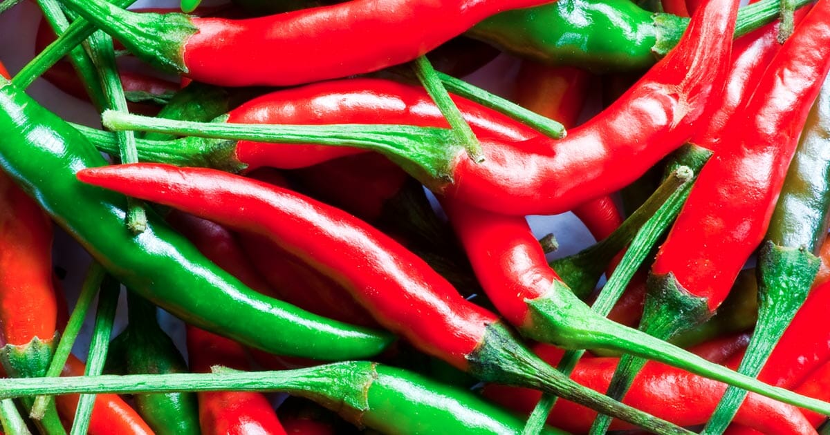 husmorstips: så enkelt odlar du din egen chili – det är lättare än du tror
