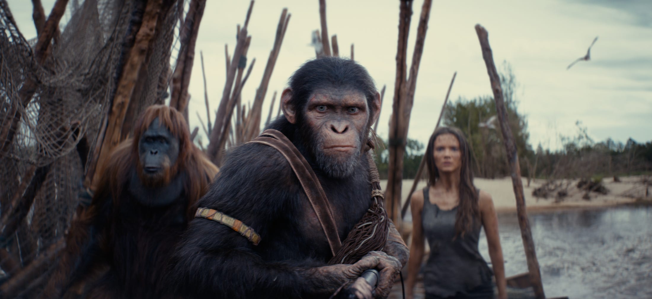 review: the simians sizzle, but story fizzles in new 'kingdom of the planet of the apes'