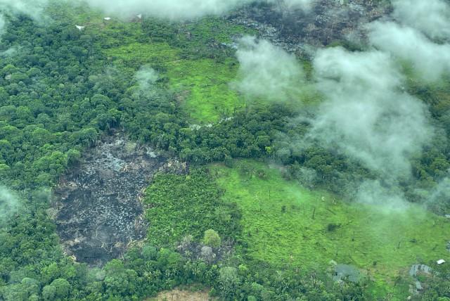 amazon, devastadoras fotos: así se ve la destrucción de la selva en chiribiquete y la amazonia