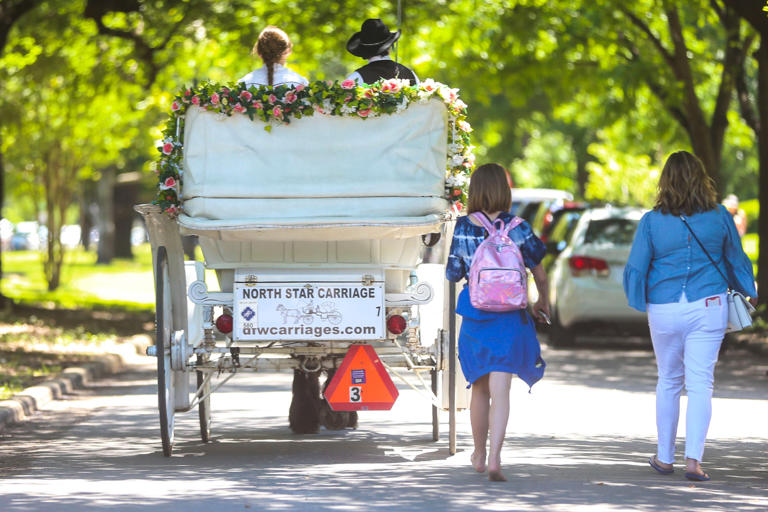 Take a ride in a horse-drawn carriage during the Swiss Avenue Historic District Mother's Day Home Tour. The Old East Dallas event also includes a festival in Savage Park.