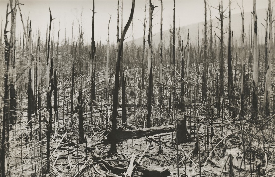 The most destructive fires in recorded history
