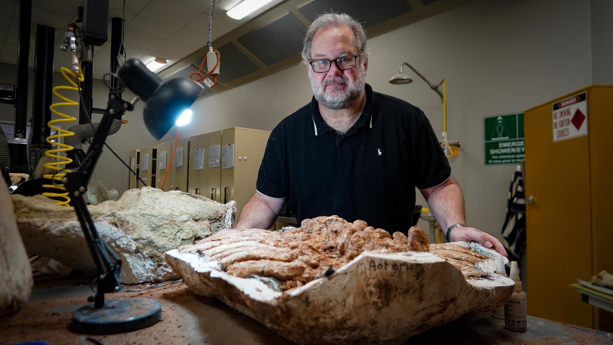 scientists measure the sands of time to age shirley the diprotodon fossil