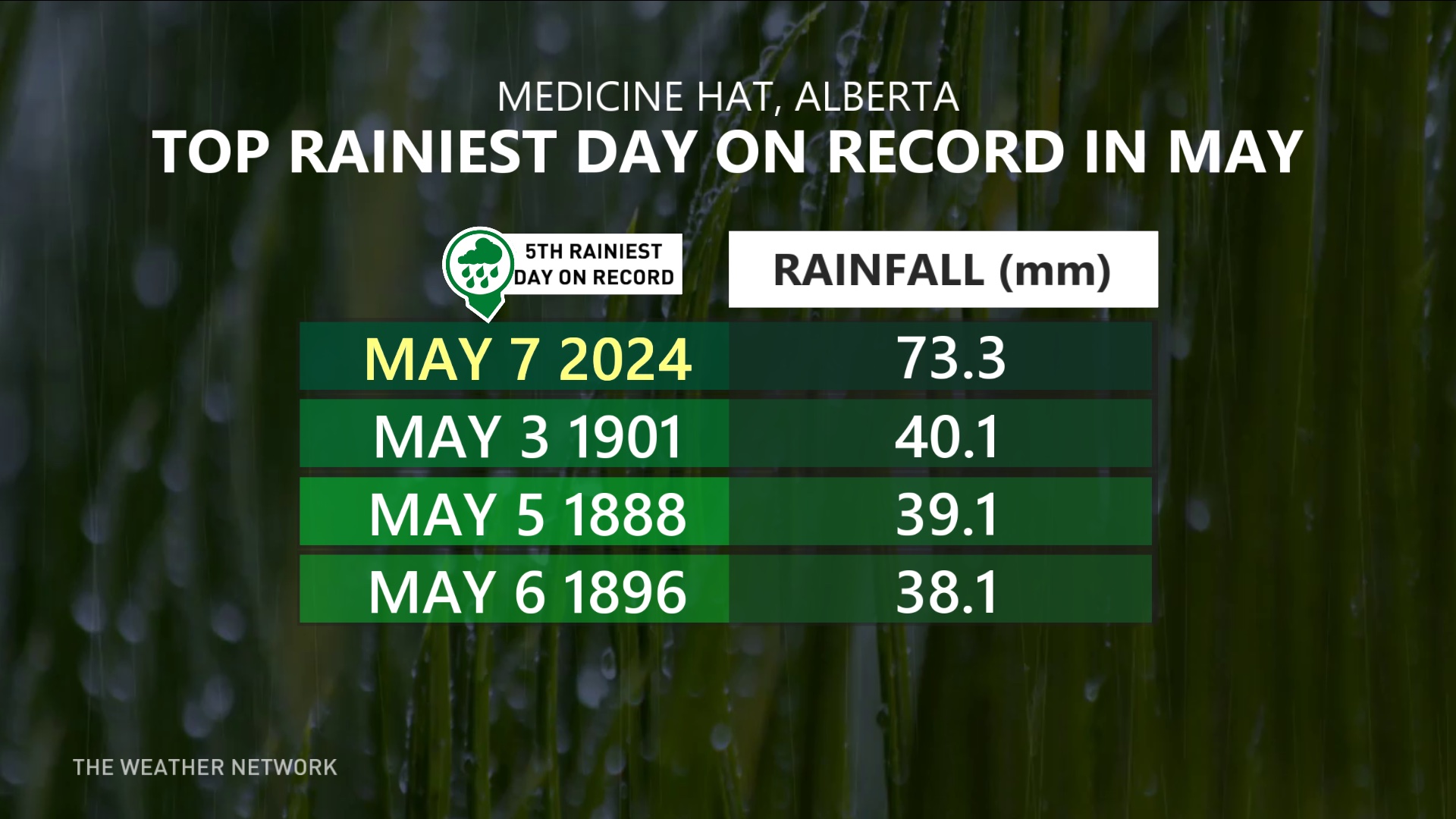 relief, at last: why alberta welcomes 80 mm of rainfall this week