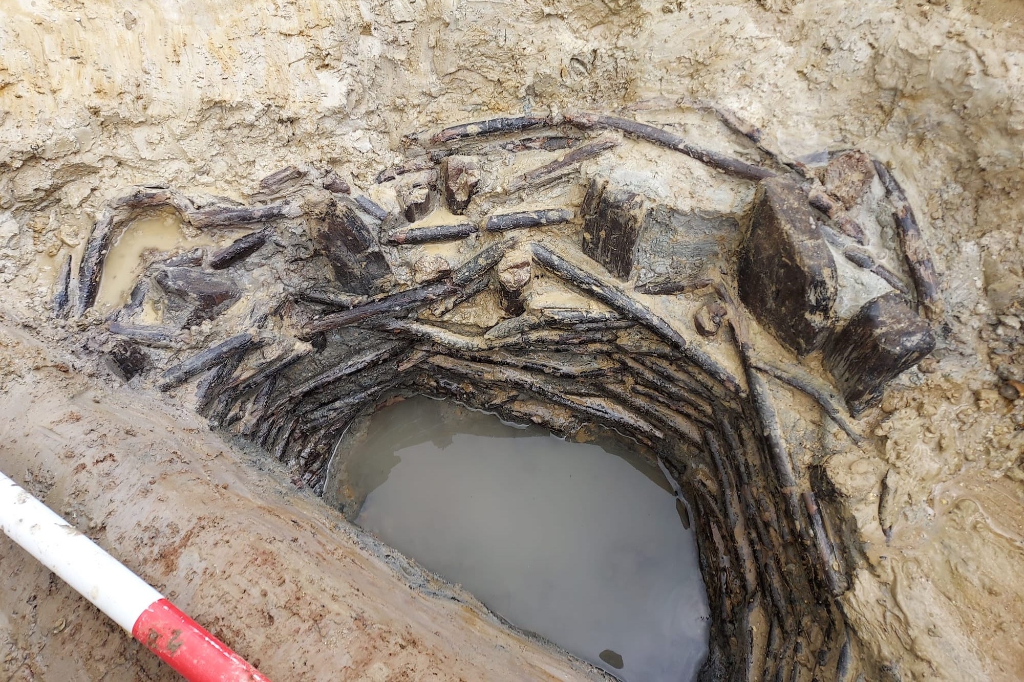 archaeologists discover 'rare,' well-preserved bronze age wooden structure