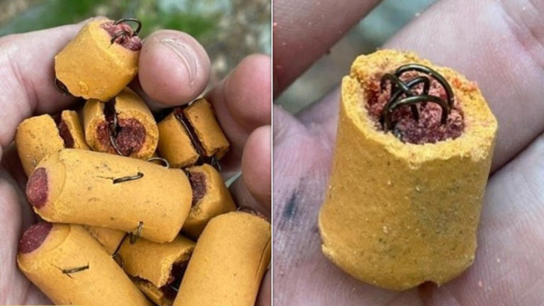Dog treats stuffed with fishing hooks were found scattered along a hiking trail in Lehigh County, Pennsylvania, over the weekend, wildlife officials said. (Photo: Pennsylvania Game Commission)