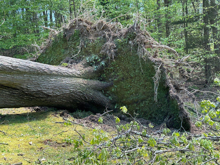 Tornado touched down in Westmoreland County, NWS says