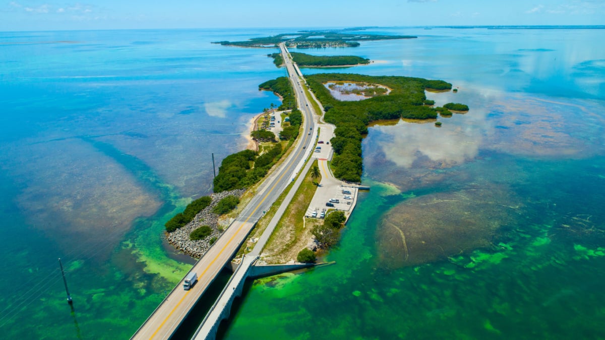 <p>For those looking for a tropical getaway, the Overseas Highway in the Florida Keys is the perfect road trip. This 113-mile drive will take you across 42 bridges over crystal blue waters and through picturesque islands. </p><p>The Big Pine and the Lower Keys are perfect if you want something more secluded. Their wild scenery and wildlife make the place especially attractive for animal lovers. Along the way, you can stop for some snorkeling or diving at one of the many coral reefs, grab a bite to eat at a local seafood shack, and end your trip with a stunning sunset at Key West.</p>