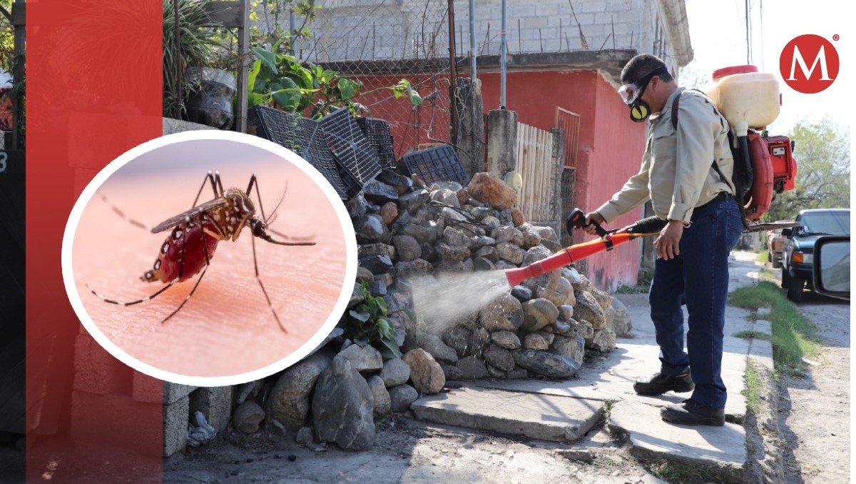 casos de dengue incrementan hasta un 60 por ciento en altamira