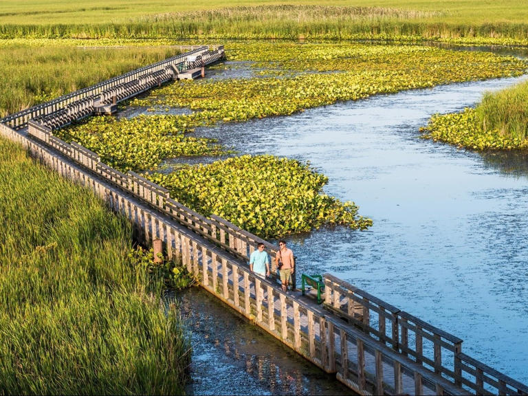 Two people walking on boardwalk at Point Pelee National Park.