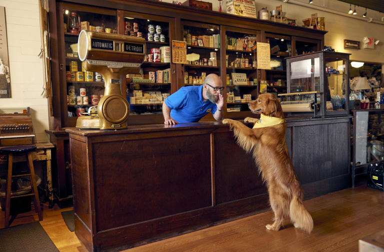 A fan of Bush's 'beautiful bean footage?' You'll have 30 hours to win