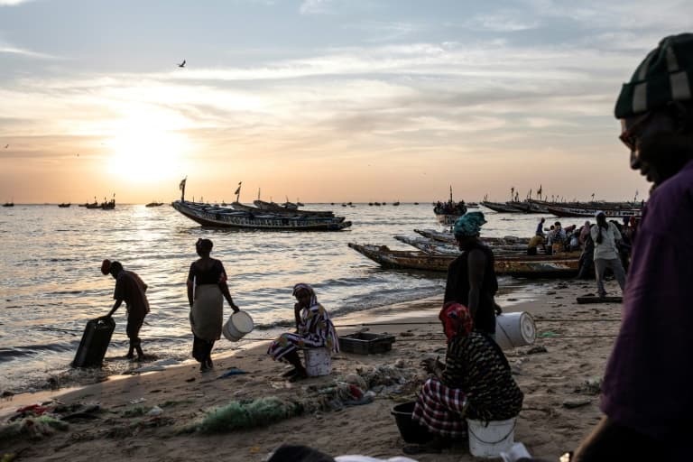 l'union européenne minimise l'impact des bateaux européens sur la pêche sénégalaise