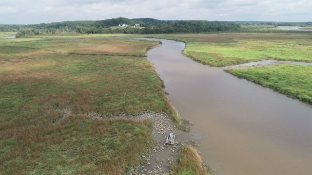 amazon, conservationists sound alarm over concerning trend in maryland wetlands: 'it's more critical than ever'