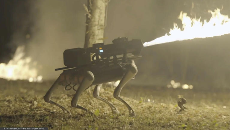 Meet the Thermonator: The flame-throwing robo-dog is now up for grabs