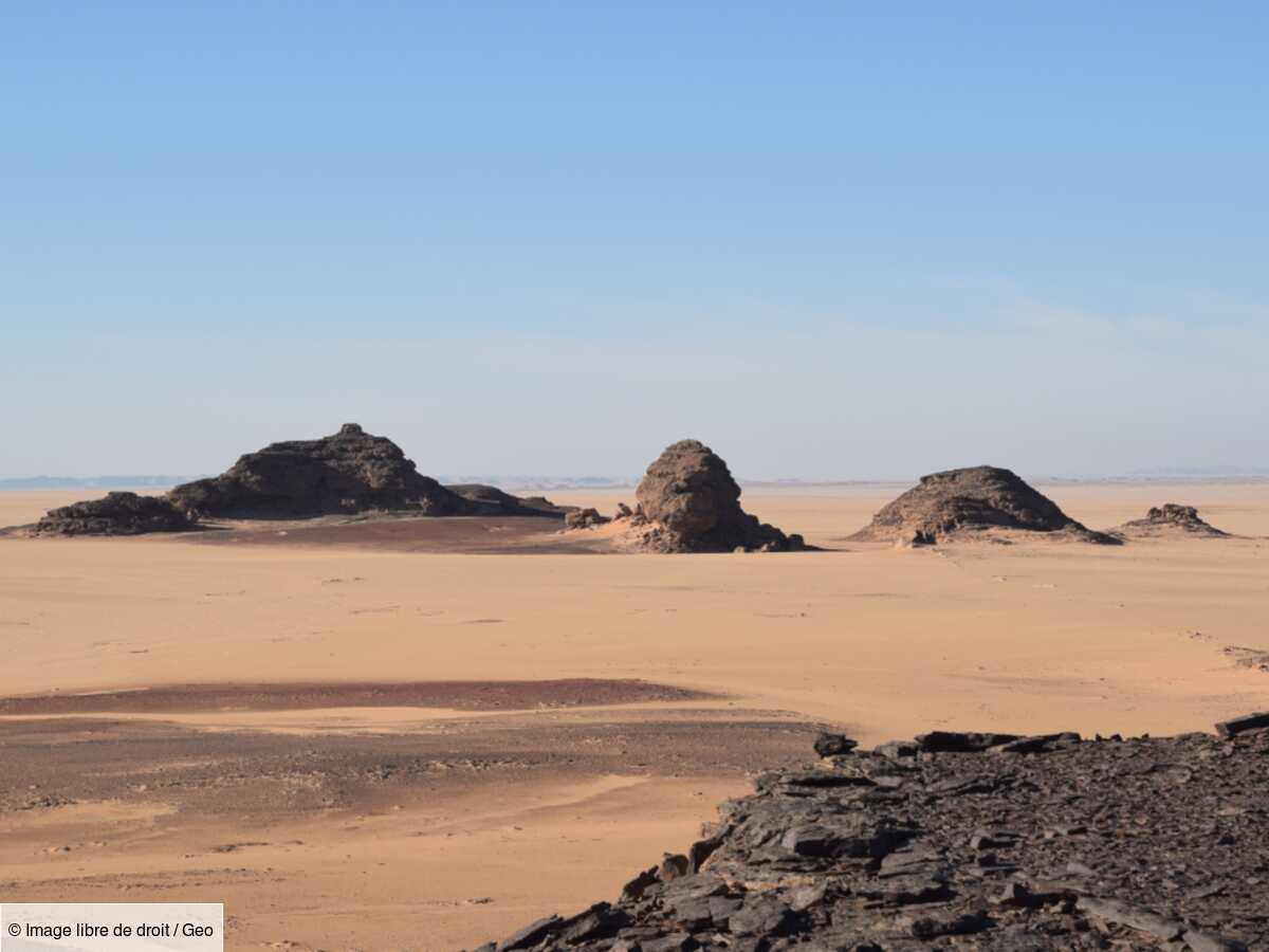 le sahara était autrefois une savane luxuriante, mais un catastrophique changement climatique a tout bouleversé