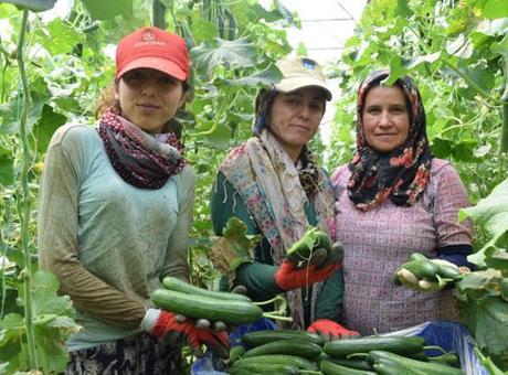 kadın çiftçiler üretmeye devam ediyor
