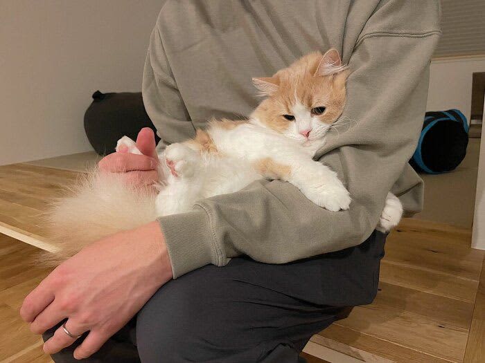 お出かけから帰ってきたパパにぎゅっと抱きつく猫 初めて見せた「甘えん坊なしぐさ」にキュン！
