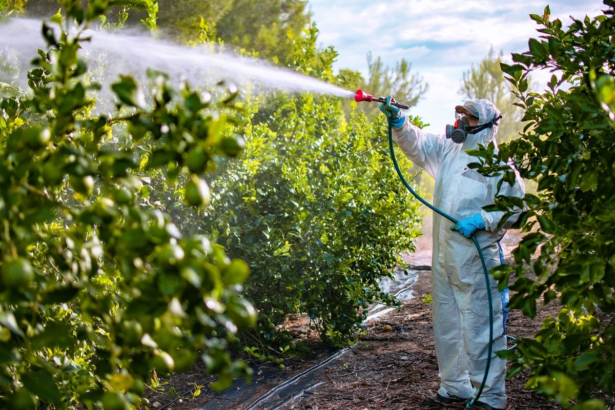 fruits et légumes : ce pays d’europe utilise le plus de pesticides (et il ne s’agit pas de l’espagne !)