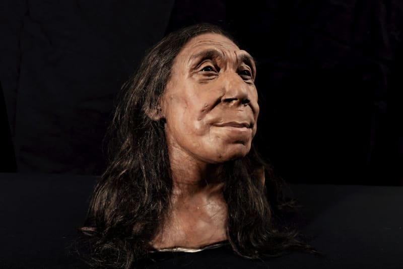 meet the 75,000-year-old neanderthal woman whose friendly face is sparking a scientific debate