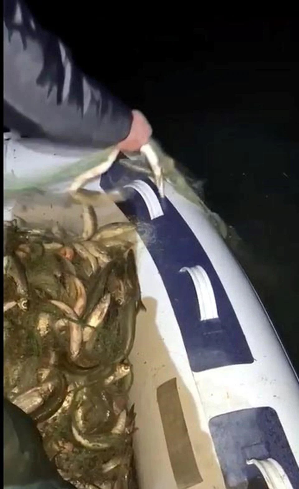 erciş’te kaçak avlanan 200 kilo canlı balık yeniden suya bırakıldı