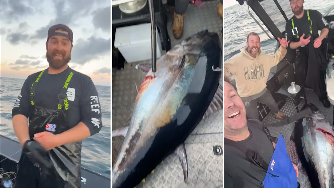 'pretty wild': massive 165kg tuna caught off victorian coast