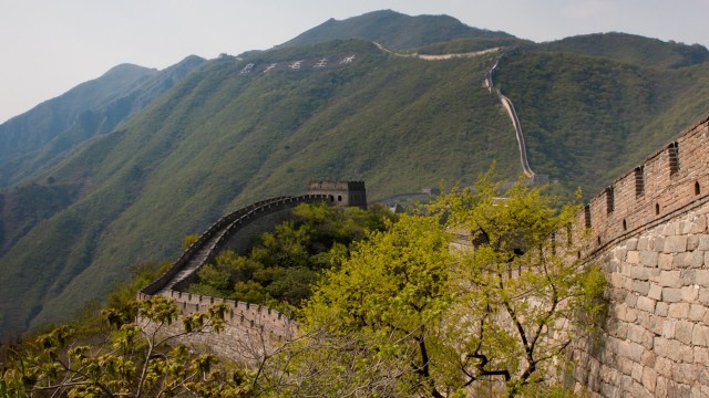 scientists make interesting discovery about 'living skin' protecting great wall of china: 'they thought this kind of vegetation was destroying the great wall'