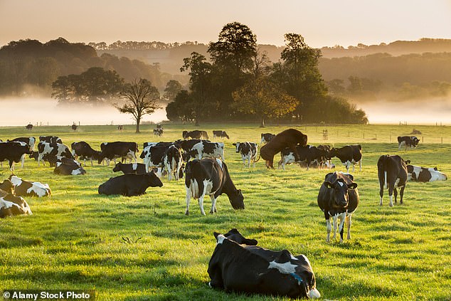 waitrose boss hints at prices rises amid eco-friendly farming practice
