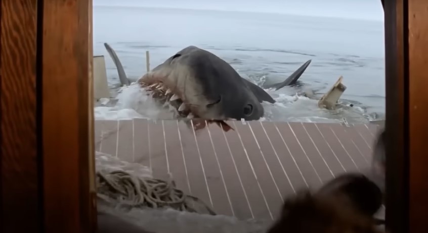 The 15 Best Shark Attack Movies of All Time, Ranked
