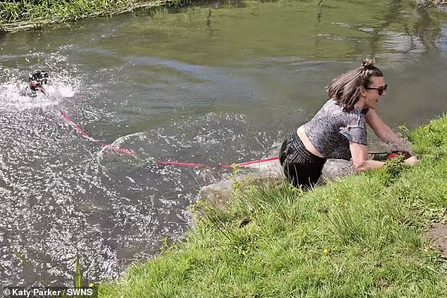 dog owner plunges into a river after being dragged in