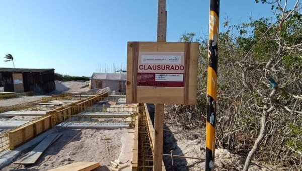 constructores de villas maría en sisal desafían los sellos de clausura de profepa