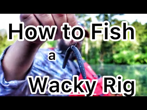 how to, wacky rig: a complete guide on rigging, setups, and how to fish it