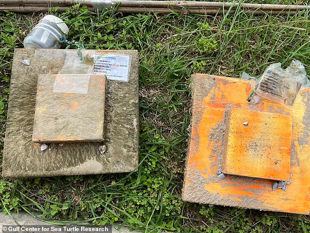 mysterious boxes wash up on beaches and have important secret purpose