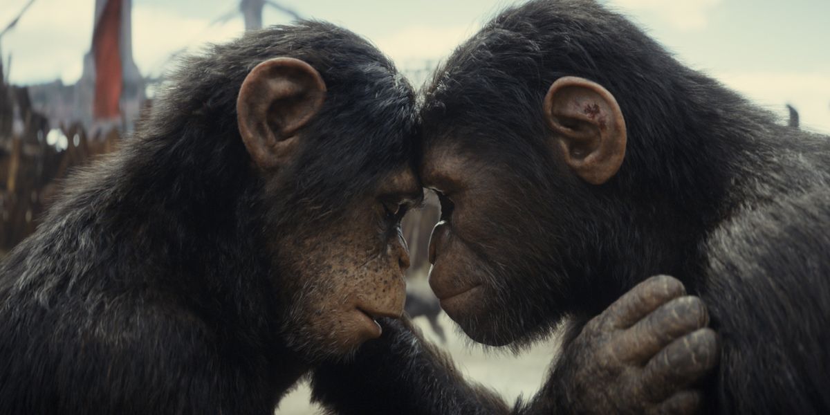 the big problem with ‘kingdom of the planet of the apes’