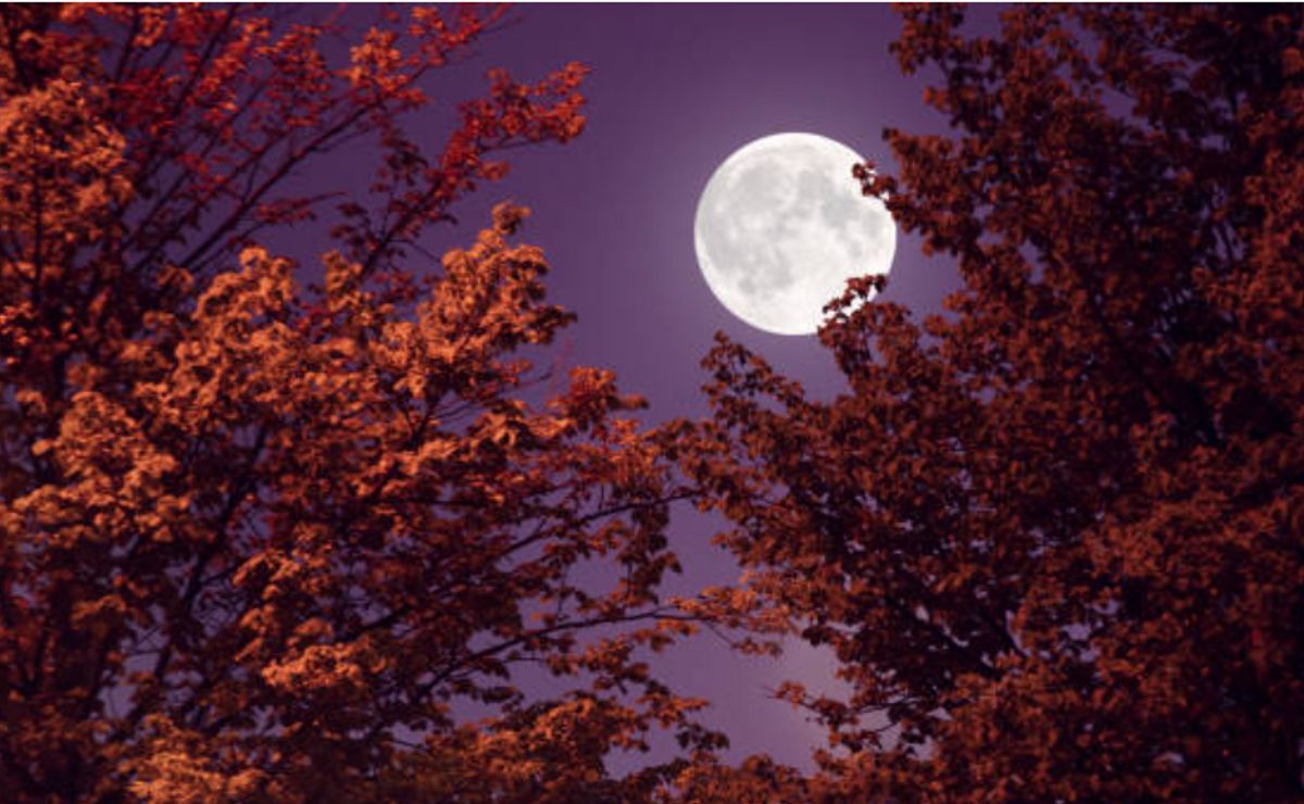 calendario lunar 2024: ¿cuándo hay luna creciente y luna llena en el mes de mayo?