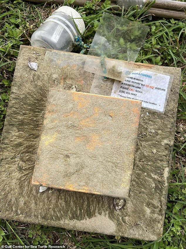 mysterious boxes wash up on beaches and have important secret purpose