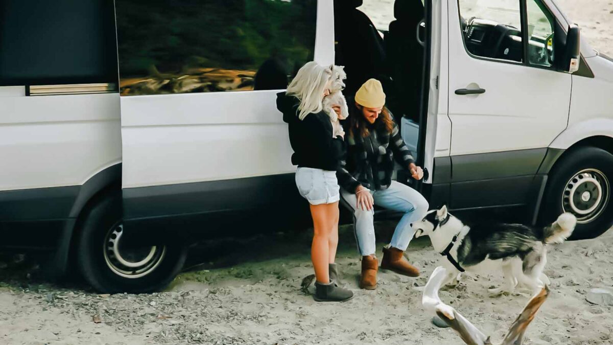 <p>Planning a road trip with your dog can be as exciting as it is nerve-wracking. You want to make sure you’ve got everything covered to keep your furry friend happy and safe on the road. This article lays out the crucial items you should pack to ensure a smooth journey. From safety gear to comfort essentials, we’ve got you covered so you can focus on making great memories.</p>