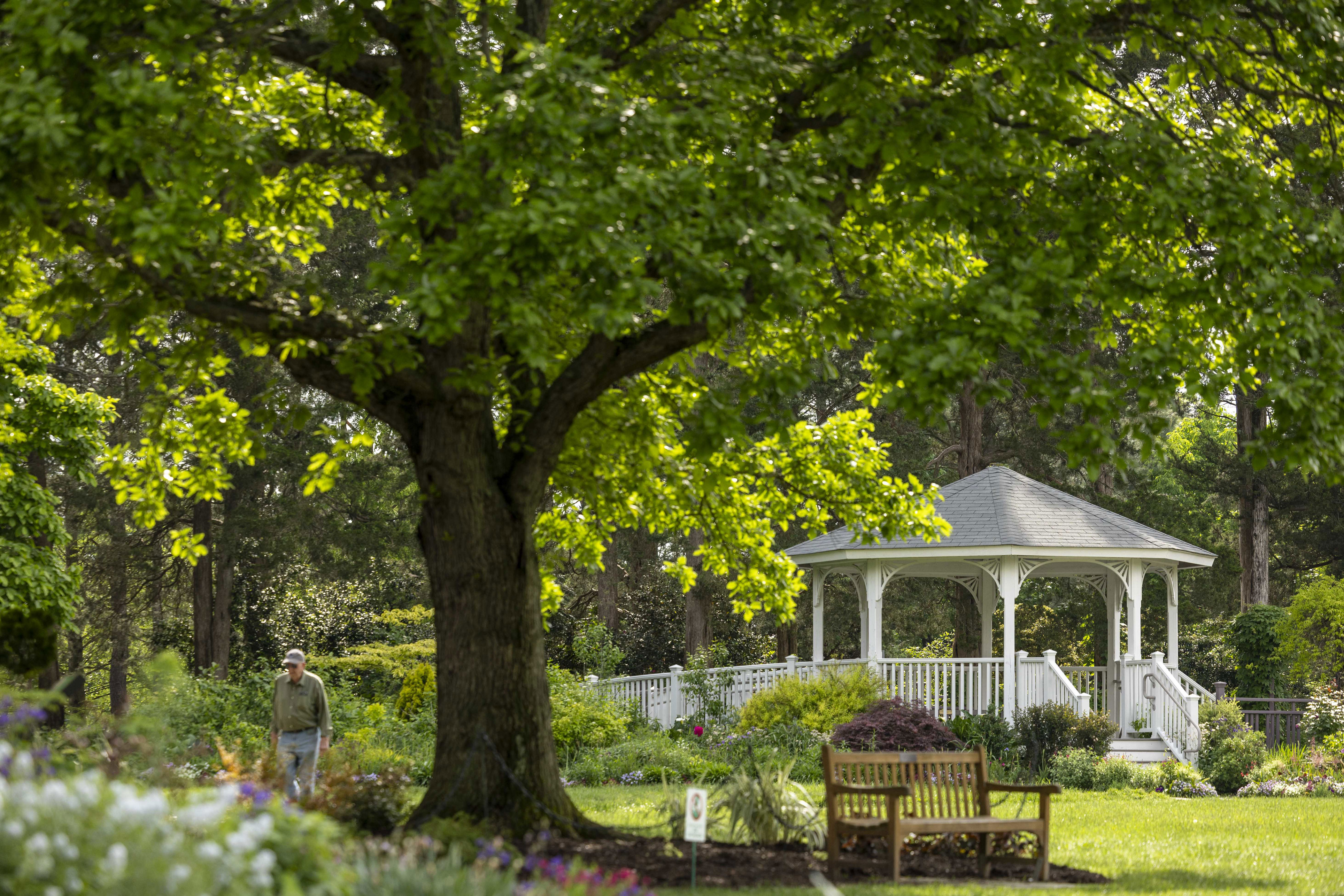 need beauty? these are 7 of the most gorgeous gardens in the d.c. area.
