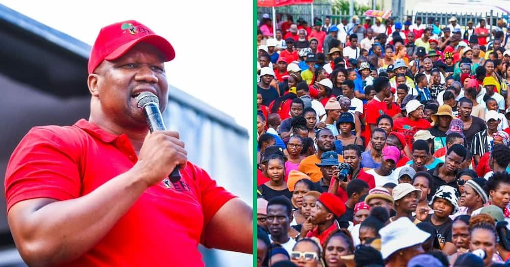 eff kzn unfazed by mk party's presence in the province