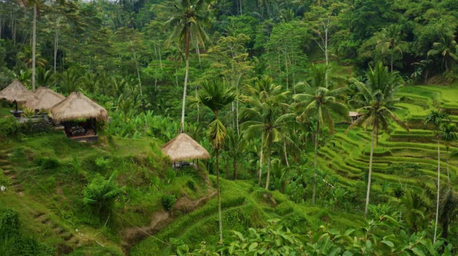 Photos Of The Last Remaining Uncontacted Tribes On Earth