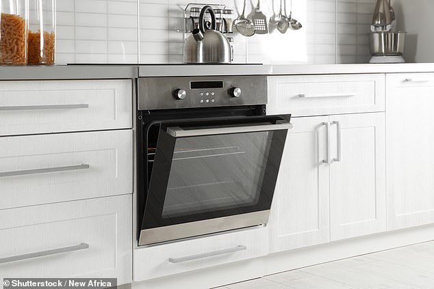 two in five believe ovens will become obsolete as the air fryer craze shows no signs of slowing