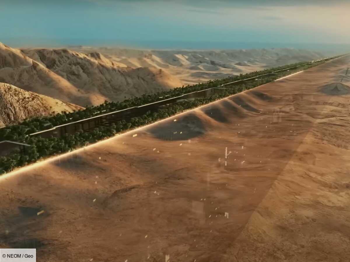 “the line”, le gratte-ciel géant de 170 km actuellement en construction dans le désert saoudien pourrait tuer des milliers d’oiseaux