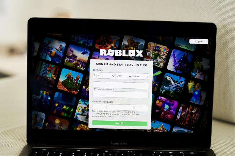Online Video Game Company Roblox