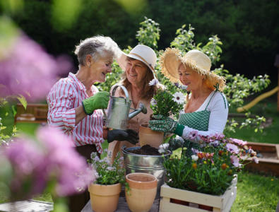 A Guide to Discovering Community Gardens<br><br>