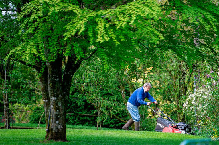 Stunning grounds of Dalswinton House to open to the public under ...